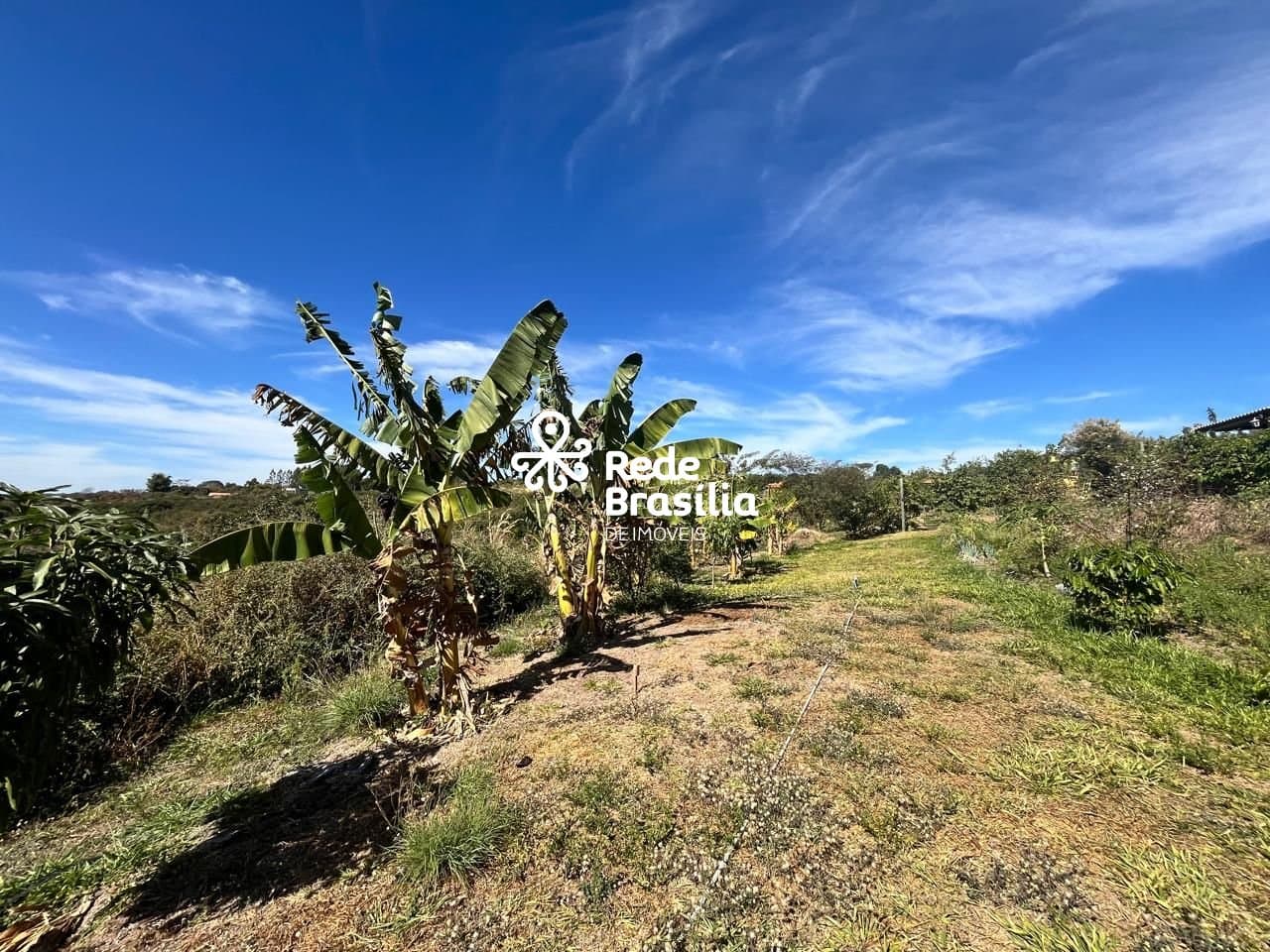 Imagem da propriedade DI695 1