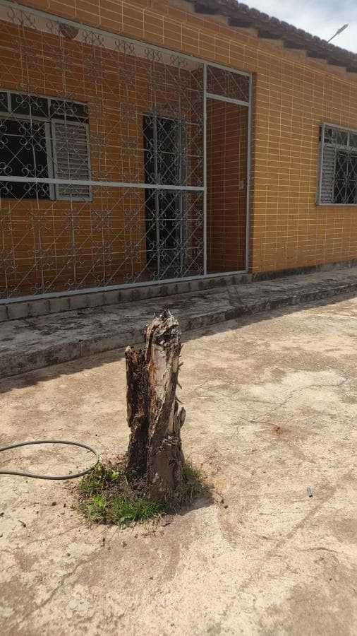Imagem da propriedade MA3626 2