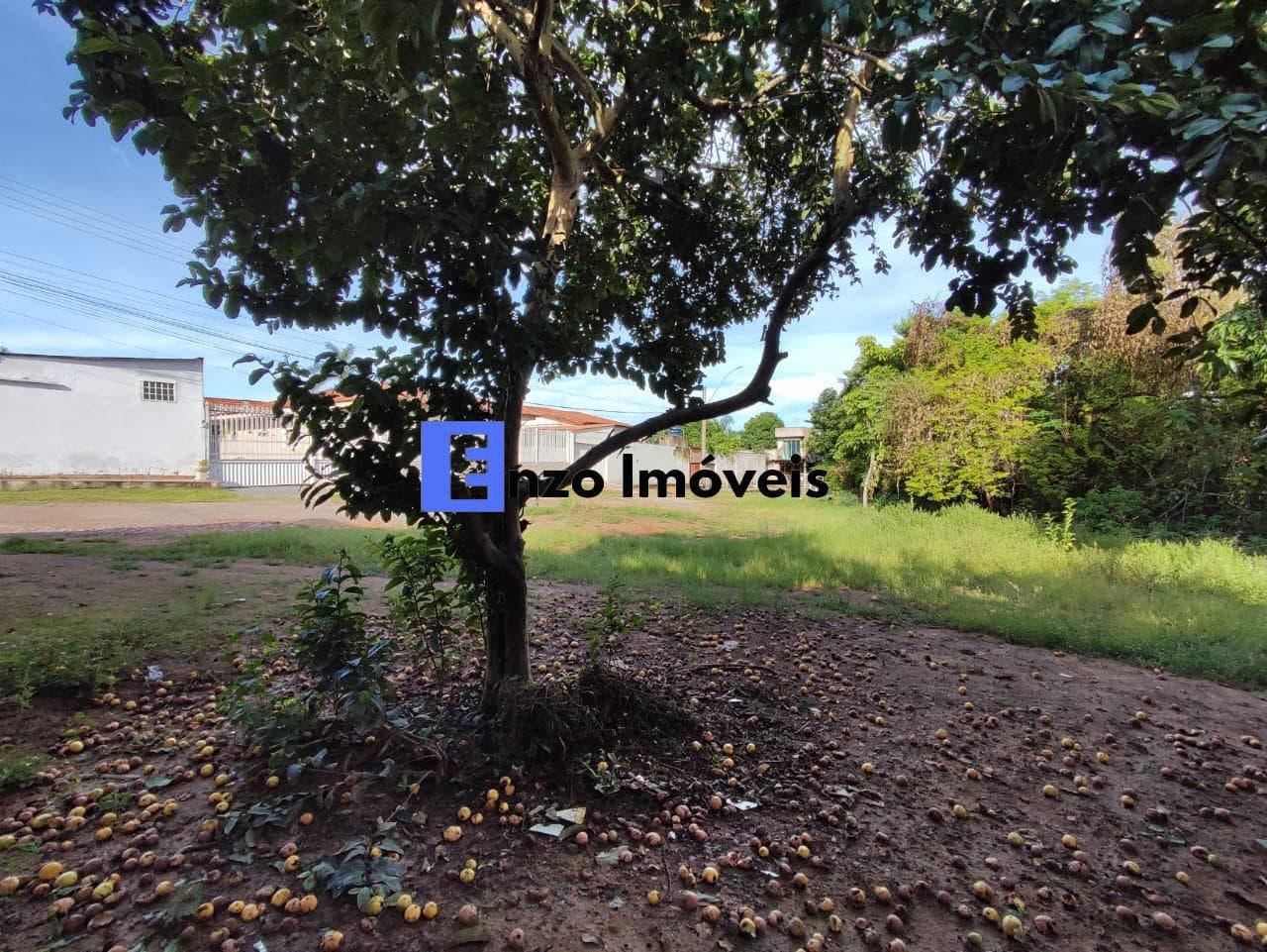 Imagem da propriedade MA7424 29